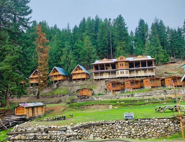 WhatsApp Image 2024-10-20 at 8.00.15 PM